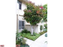 Pacific Palisades Real Estate